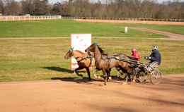 Domaine-de-Grosbois;Drivers;French-Trotters;Grosbois;Harness-racing;Horse;Horses;Kaleidos;Kaleidos-images;Marolles-en-Brie;Sulkies;Sulky;Tarek-Charara;Trot;Trotter;Trotters;Trotting