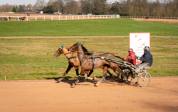 Domaine-de-Grosbois;Drivers;French-Trotters;Grosbois;Harness-racing;Horse;Horses;Kaleidos;Kaleidos-images;Marolles-en-Brie;Sulkies;Sulky;Tarek-Charara;Trot;Trotter;Trotters;Trotting