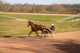 Domaine-de-Grosbois;Drivers;French-Trotters;Grosbois;Harness-racing;Horse;Horses;Kaleidos;Kaleidos-images;Marolles-en-Brie;Sulkies;Sulky;Tarek-Charara;Trot;Trotter;Trotters;Trotting