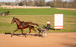 Domaine-de-Grosbois;Drivers;French-Trotters;Grosbois;Harness-racing;Horse;Horses;Kaleidos;Kaleidos-images;Marolles-en-Brie;Sulkies;Sulky;Tarek-Charara;Trot;Trotter;Trotters;Trotting