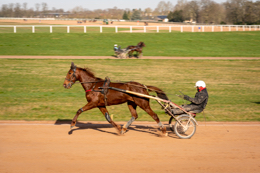 Domaine-de-Grosbois;Drivers;French-Trotters;Grosbois;Harness-racing;Horse;Horses;Kaleidos;Kaleidos-images;Marolles-en-Brie;Sulkies;Sulky;Tarek-Charara;Trot;Trotter;Trotters;Trotting