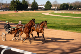 Domaine-de-Grosbois;Drivers;French-Trotters;Grosbois;Harness-racing;Horse;Horses;Kaleidos;Kaleidos-images;Marolles-en-Brie;Sulkies;Sulky;Tarek-Charara;Trot;Trotter;Trotters;Trotting