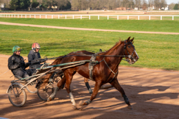 Domaine-de-Grosbois;Drivers;French-Trotters;Grosbois;Harness-racing;Horse;Horses;Kaleidos;Kaleidos-images;Marolles-en-Brie;Sulkies;Sulky;Tarek-Charara;Trot;Trotter;Trotters;Trotting