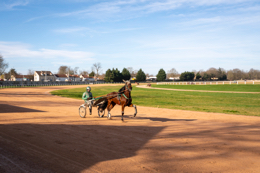 Domaine-de-Grosbois;Drivers;French-Trotters;Grosbois;Harness-racing;Horse;Horses;Kaleidos;Kaleidos-images;Marolles-en-Brie;Sulkies;Sulky;Tarek-Charara;Trot;Trotter;Trotters;Trotting