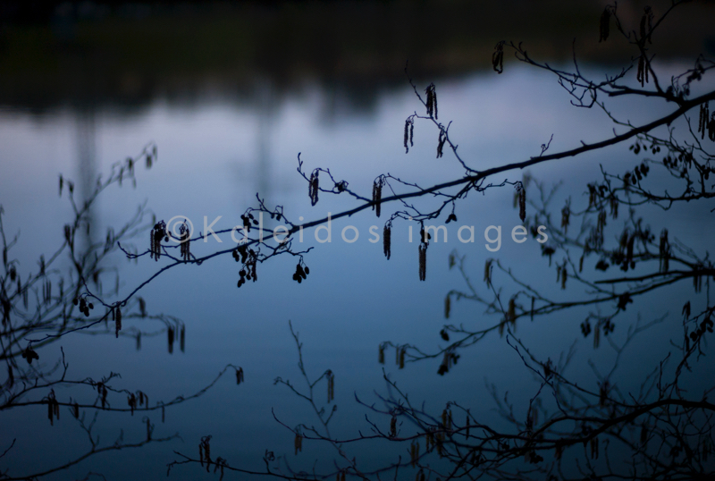 Branches;Evening;Kaleidos;Kaleidos images;Landscapes;Ponds;Tarek Charara;Twigs;Winter;La parole à l'image;NRW;Nordrhein-Westfalen;North Rhine-Westphalia;Düsseldorf;Duesseldorf;Dusseldorf