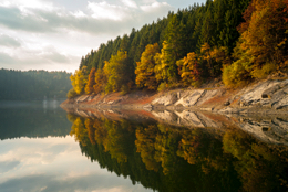 Colors;Colours;Dam;Kaleidos;Kaleidos-images;Landscapes;Tarek-Charara;Forests;Light;Trees;Water;Lakes;Fall;NRW;Nordrhein-Westfalen;North-Rhine-Westphalia;Solingen;La-parole-à-limage;Autumn