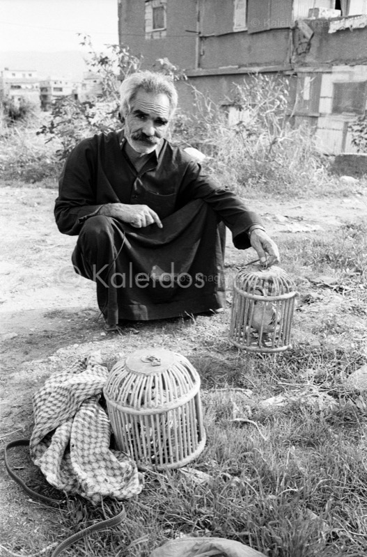 Birds;Bird cages;Cages;Kaleidos images;Man;Men;Palestinian Refugees;Palestinians;Refugee camps;Shanty Towns;Shatila;Tarek Charara