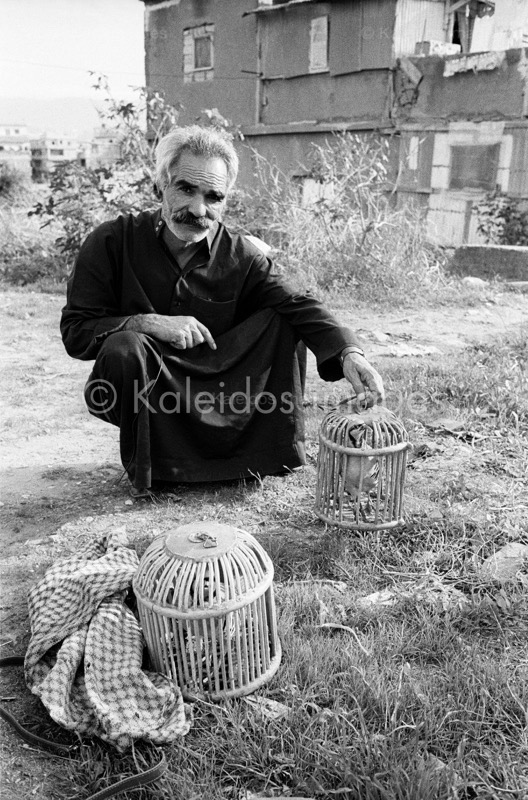 Birds;Bird cages;Cages;Kaleidos images;Man;Men;Palestinian Refugees;Palestinians;Refugee camps;Shanty Towns;Shatila;Tarek Charara