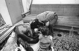 Camps-de-refugiés;Chatila;Farah-AL-Hindawi;Farah-Hindawi;Jamal-Al-Hindawi;Jamal-Hindawi;Kaleidos-images;Mona-Al-Hindawi;Mona-Hindawi;Palestinian-Refugees;Palestinians;Palestiniens;Refugee-camps;Réfugiés-palestiniens;Shatila;Tarek-Charara;UNRWA