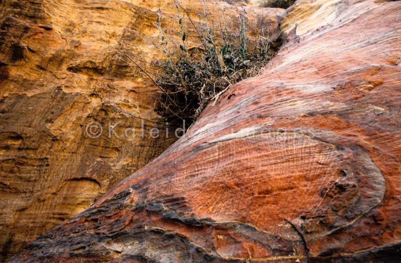 Tarek Charara;Kaleidos;Kaleïdos;Kaleidos images;Middle East;Middle-East;UNESCO;World Heritage;Graves;Tombs;History;Nabateans;Petra;Jordan