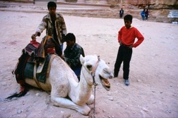 Tarek-Charara;;Kaleidos-images;La-parole-à-limage;UNESCO;World-Heritage;Dromedaries;Dromedary;Bedouins;History;Nabateans;Petra;Jordan;Khazneh;Al-Khazneh