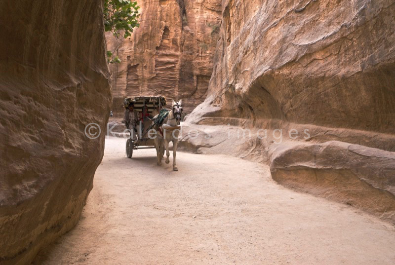 Tarek Charara;Kaleidos images;La parole à l'image;UNESCO;World Heritage;Siq;Horses;Tourists;History;Nabateans;Petra;Jordan