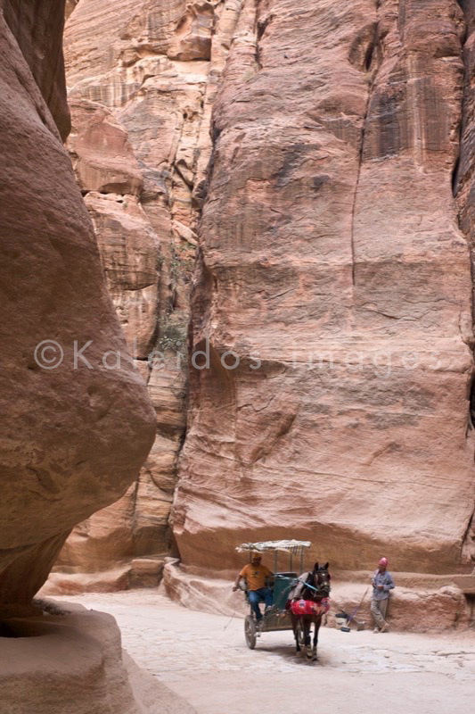 Tarek Charara;Kaleidos images;La parole à l'image;UNESCO;World Heritage;Siq;Horses;Tourists;History;Nabateans;Petra;Jordan