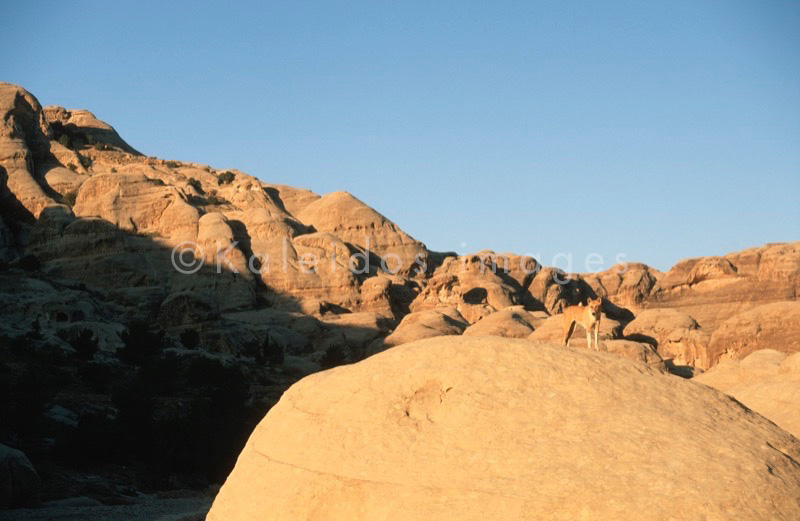 Tarek Charara;Kaleidos;Kaleïdos;Kaleidos images;Middle East;Middle-East;UNESCO;World Heritage;Graves;Tombs;History;Nabateans;Petra;Jordan