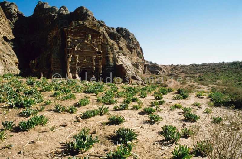 Tarek Charara;Kaleidos;Kaleïdos;Kaleidos images;Middle East;Middle-East;UNESCO;World Heritage;Graves;Tombs;History;Nabateans;Petra;Jordan