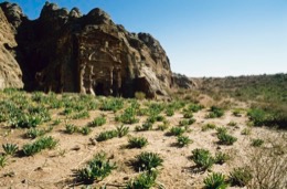 Tarek-Charara;Kaleidos;Kaleïdos;Kaleidos-images;Middle-East;Middle-East;UNESCO;World-Heritage;Graves;Tombs;History;Nabateans;Petra;Jordan