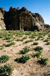 Tarek-Charara;Kaleidos;Kaleïdos;Kaleidos-images;Middle-East;Middle-East;UNESCO;World-Heritage;Graves;Tombs;History;Nabateans;Petra;Jordan