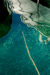 Boats,-Fingerlings,-Fish,-Juvenile-fish,-Kaleidos,-Kaleidos-images,-Lebanon,-Middle-East,-Near-East,-Port,-Ships,-Tarek-Charara,-Water