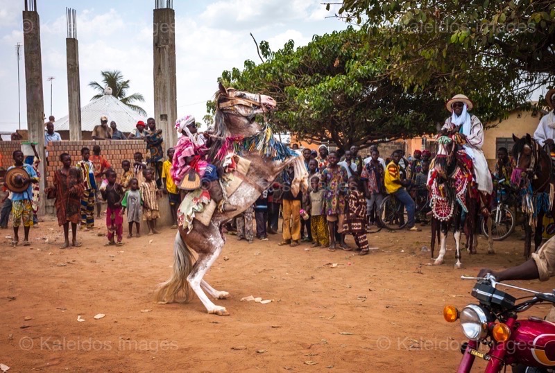 Africa;Benin;Boys;El Hadj Sani Allabulla Fousséni;Gaani;Horses;Kaleidos;Kaleidos images;La parole à l'image;Rachid Fousséni;Rachidou Fousséni;Riders;Tarek Charara;Traditions;Dongola