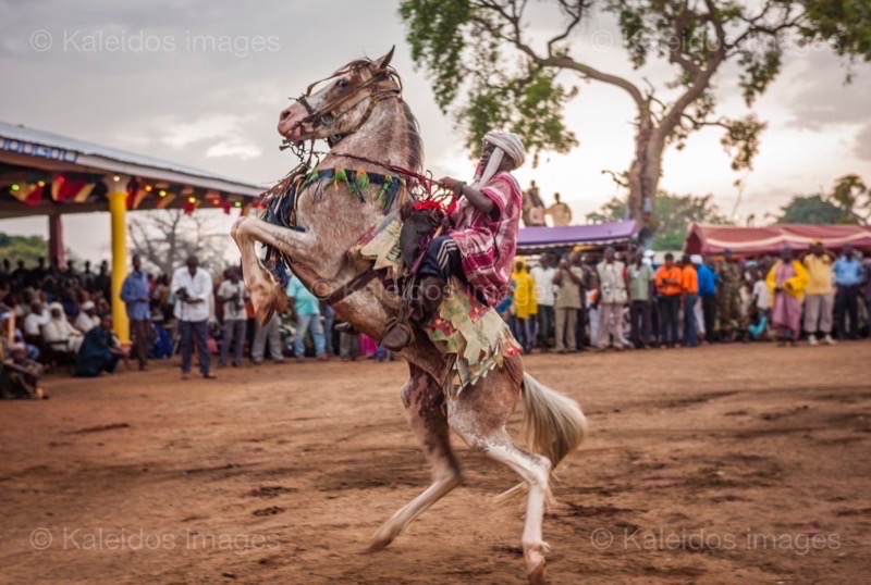 Africa;Benin;Gaani;Horseman;Horsemen;Horses;Kaleidos;Kaleidos images;La parole à l'image;Rachid Fousséni;Rachidou Fousséni;Riders;Tarek Charara;Dongola