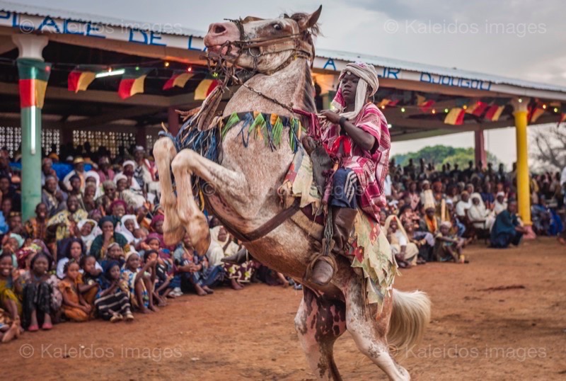 Africa;Benin;Gaani;Horseman;Horsemen;Horses;Kaleidos;Kaleidos images;La parole à l'image;Rachid Fousséni;Rachidou Fousséni;Riders;Tarek Charara;Dongola