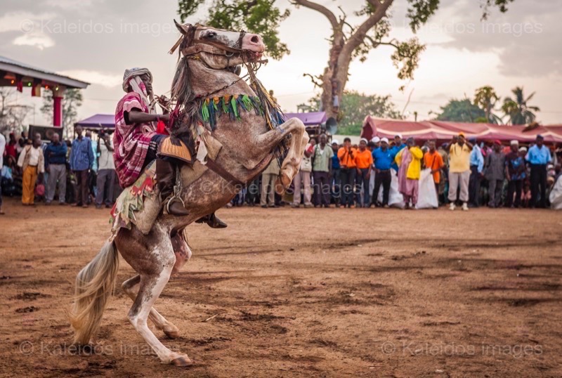 Africa;Benin;Gaani;Horseman;Horsemen;Horses;Kaleidos;Kaleidos images;La parole à l'image;Rachid Fousséni;Rachidou Fousséni;Riders;Tarek Charara;Dongola