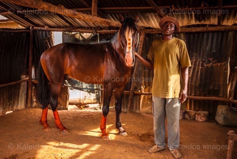 Africa;Benin;Danda;Horses;Kaleidos;Kaleidos images;La parole à l'image;Man;Men;Rafiou Owoni-Fari;Stables;Tarek Charara;Dongola