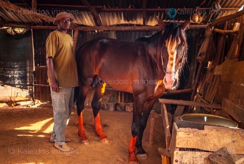 Africa;Benin;Danda;Horses;Kaleidos;Kaleidos images;La parole à l'image;Man;Men;Rafiou Owoni-Fari;Stables;Tarek Charara;Dongola