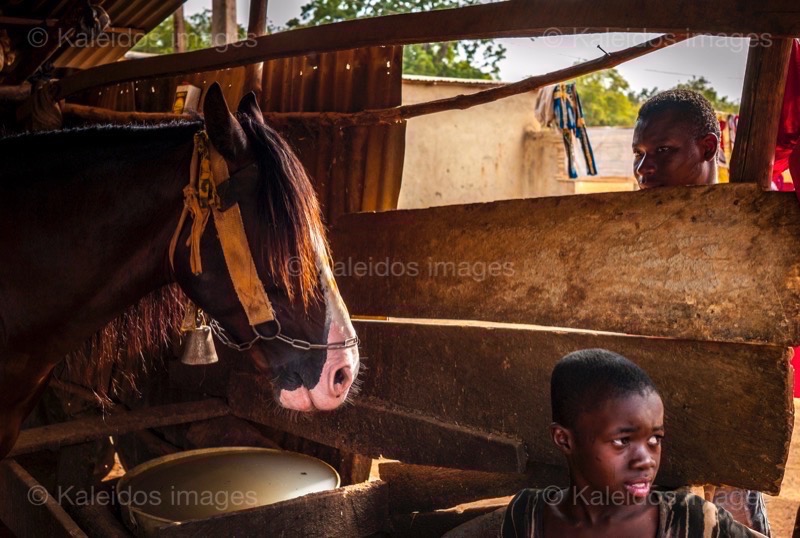 Africa;Benin;Boys;Danda;Horses;Kaleidos;Kaleidos images;La parole à l'image;Man;Men;Tarek Charara;Dongola