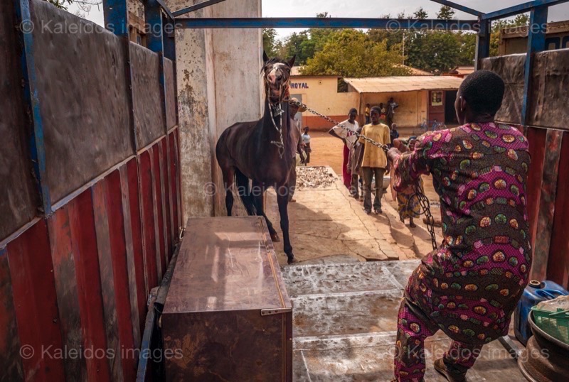Afrique;Bénin;Camion;Cheval;Chevaux;Danda;Kaleidos;Kaleidos images;La parole à l'image;Pehonko;Tarek Charara;Trucks;Lorry;Lorries;Man;Men;Moussa Atta;Dongola