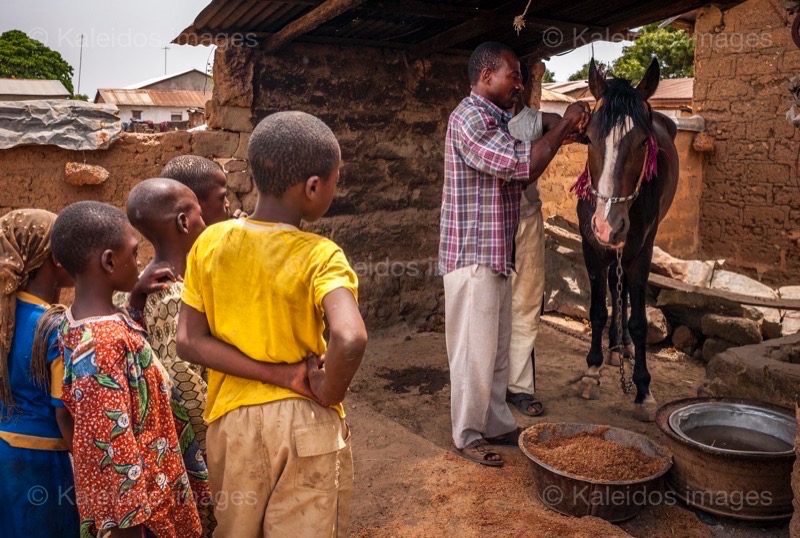 Africa;Benin;Danda;Horses;Kaleidos;Kaleidos images;La parole à l'image;Man;Men;Moussa Atta;Tarek Charara;Dongola
