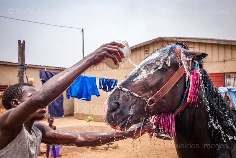 ;Cleaning;Washing;Dongola