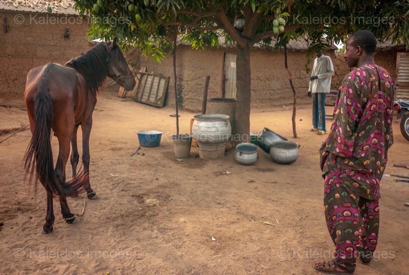 ;Moussa Atta;Pehonko;Dongola
