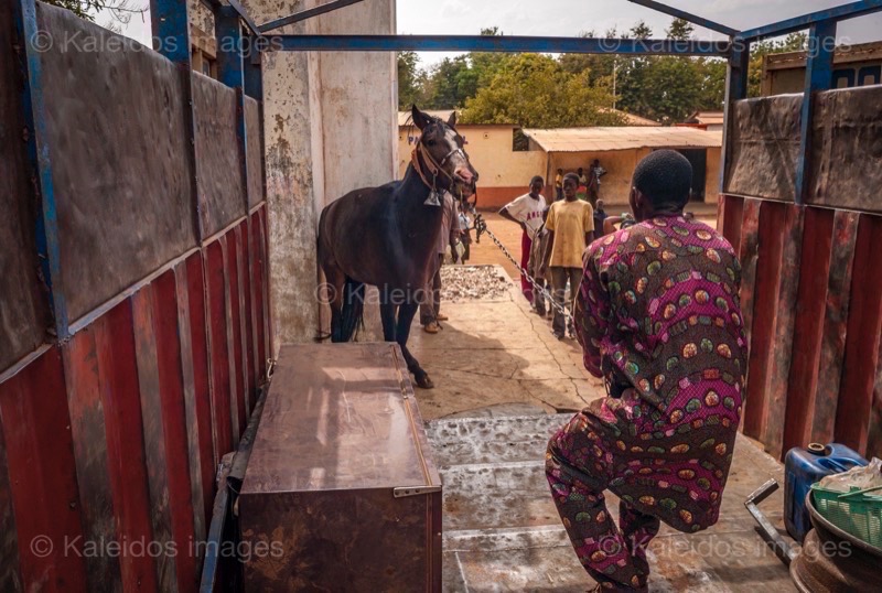 Afrique;Bénin;Camion;Cheval;Chevaux;Danda;Kaleidos;Kaleidos images;La parole à l'image;Pehonko;Tarek Charara;Trucks;Lorry;Lorries;Man;Men;Moussa Atta;Dongola