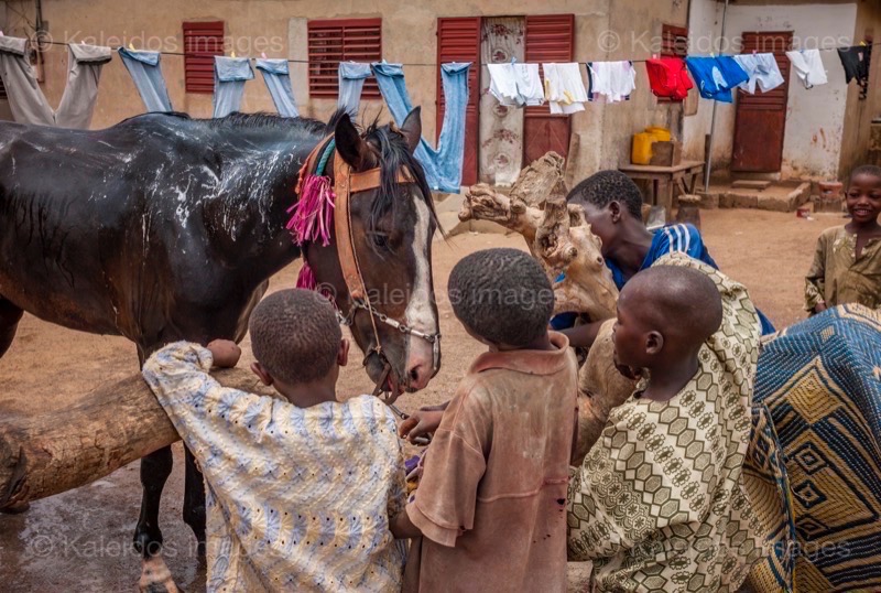 ;Cleaning;Washing;Dongola