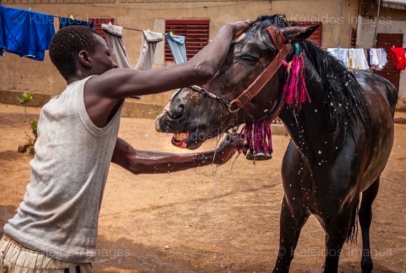 ;Cleaning;Washing;Dongola