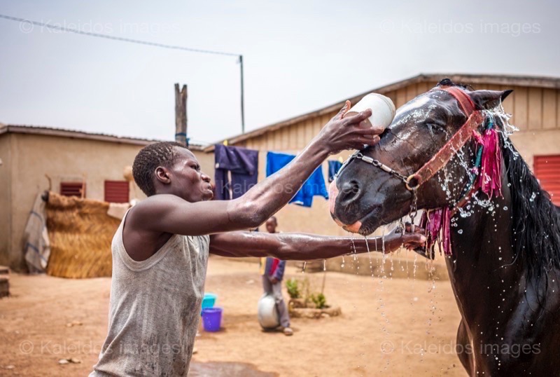 ;Cleaning;Washing;Dongola
