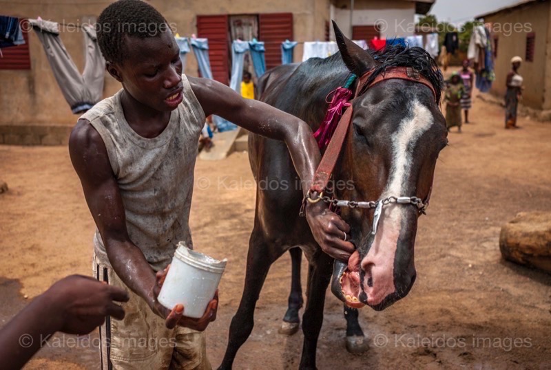 ;Cleaning;Washing;Dongola