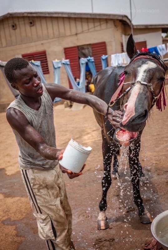 ;Cleaning;Washing;Dongola