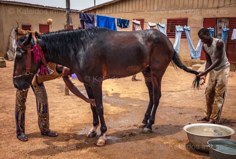 ;Cleaning;Washing;Dongola