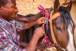 Africa;Benin;Danda;Horses;Kaleidos;Kaleidos-images;La-parole-à-limage;Man;Men;Moussa-Atta;Tarek-Charara