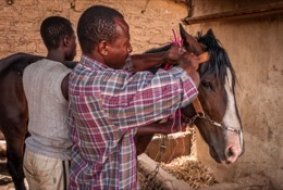Africa;Benin;Danda;Horses;Kaleidos;Kaleidos-images;La-parole-à-limage;Man;Men;Moussa-Atta;Tarek-Charara;Dongola
