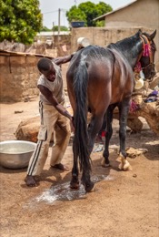 ;Cleaning;Washing;Dongola