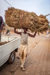 Africa;Benin;Hay;Kaleidos;Kaleidos-images;La-parole-à-limage;Man;Men;Tarek-Charara