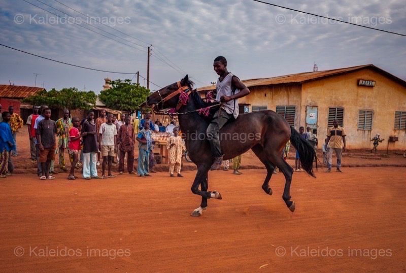 Africa;Benin;Horses;Kaleidos;Kaleidos images;La parole à l'image;Riders;Tarek Charara;Dongola