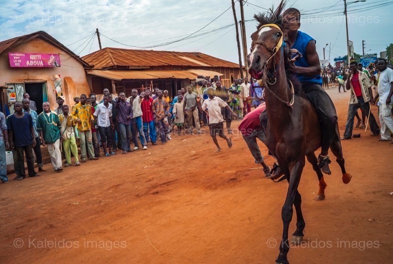 Africa;Benin;Horses;Kaleidos;Kaleidos images;La parole à l'image;Race;Riders;Tarek Charara;Dongola