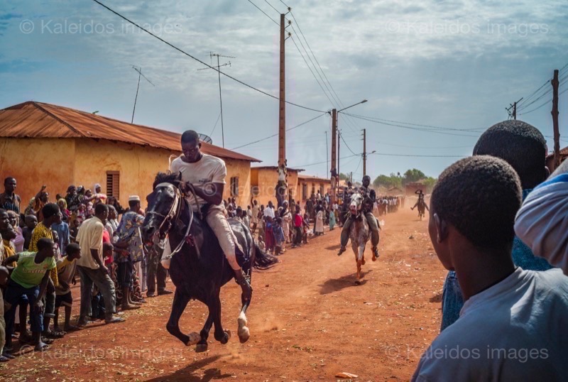 Africa;Benin;Horses;Kaleidos;Kaleidos images;La parole à l'image;Races;Riders;Tarek Charara;Dongola