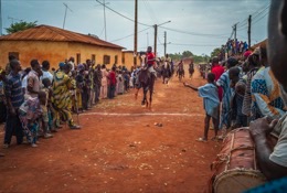 Africa;Benin;Horses;Kaleidos;Kaleidos-images;La-parole-à-limage;Races;Riders;Tarek-Charara;Dongola