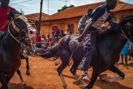 Africa;Benin;Horses;Kaleidos;Kaleidos-images;La-parole-à-limage;Races;Riders;Tarek-Charara;Dongola