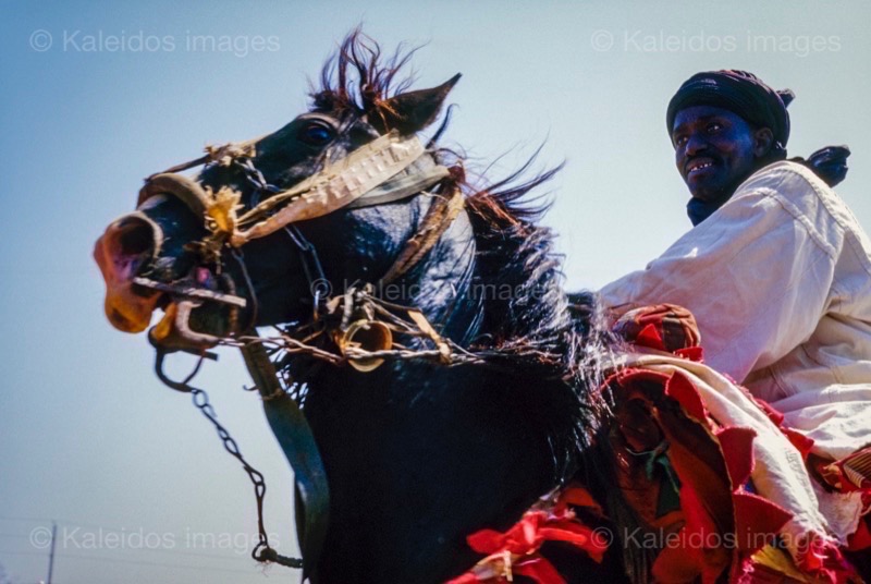 Africa;Baatonbou;Baatonou;Bariba;Benin;Gaani;Hackamores;Horseman;Horsemen;Horses;Kaleidos;Kaleidos images;La parole à l'image;Riders;Tarek Charara;Dongola